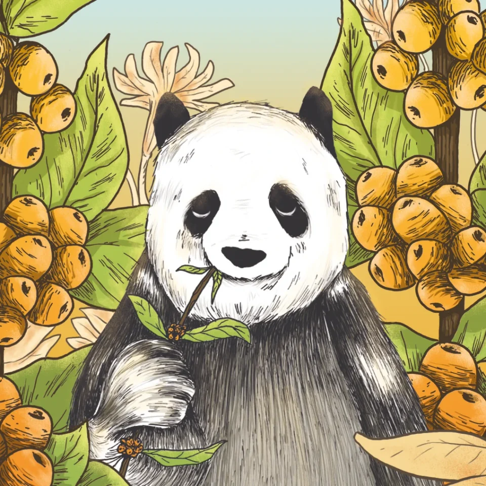 The Pacha Mama panda illustration surrounded by yellow coffee cherries and green leaves.